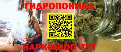 гашик Ртищево