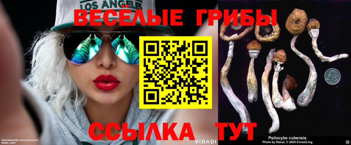 Галлюциногенные грибы ЛСД Кизляр